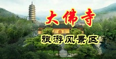 狂射插中国浙江-新昌大佛寺旅游风景区